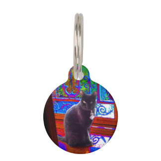 Black Cat Guards a Psychedelic Doorway Pet ID Tag