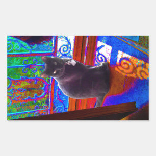 Black Cat Guards a Psychedelic Doorway Rectangular Sticker