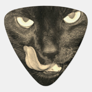 Black Cat Guitar Pick