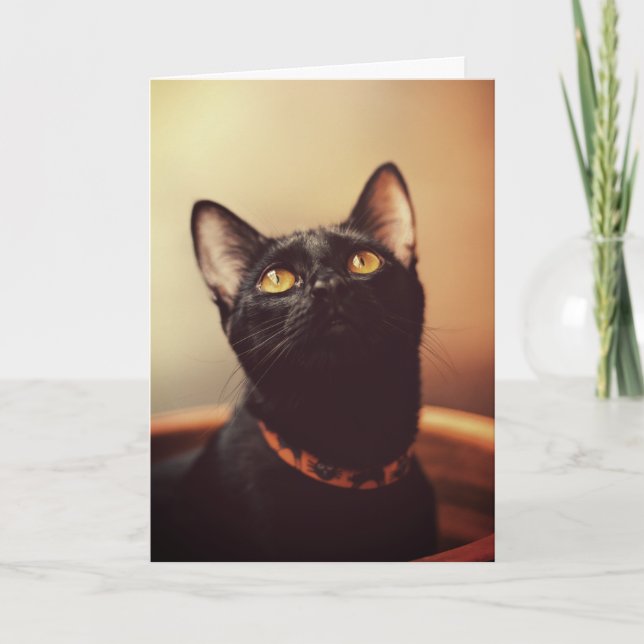 Black Cat Halloween Card (Front)