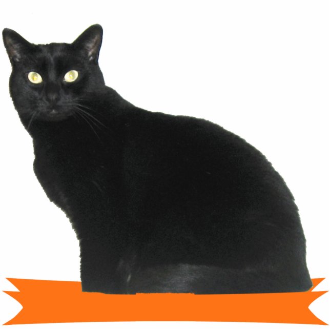 Black Cat Halloween Party Photo Sculpture (Front)