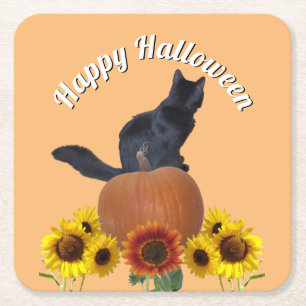 Black Cat Halloween Sunflowers Pumpkins Orange Square Paper Coaster