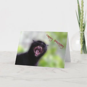 Black Cat Happy Birthday Card