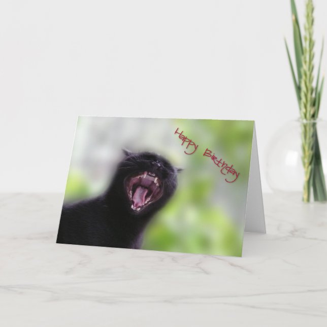 Black Cat Happy Birthday Card (Front)