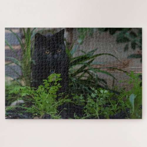 Black Cat Hidden in the Plants 1014 pieces Jigsaw Puzzle