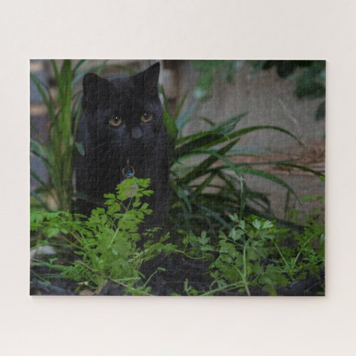 Black Cat Hidden in the Plants 520 pieces Jigsaw Puzzle