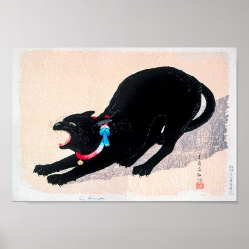 Black Cat Hissing Fine Art by Hiroaki Takahashi Poster