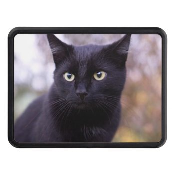Black Cat Hitch Cover by MehrFarbeImLeben at Zazzle