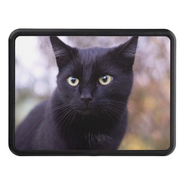 black cat hitch cover (Front)