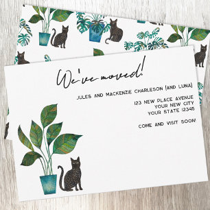 Black Cat Houseplant Moving New Home Announcement