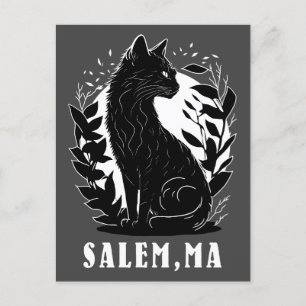 Black Cat Illustration   Salem Postcard