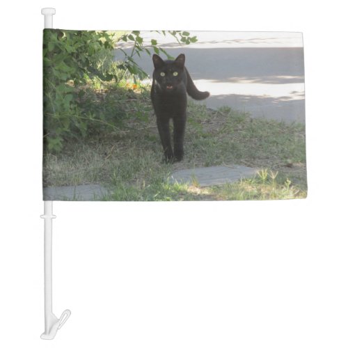 Black Cat in a Garden Car Flag