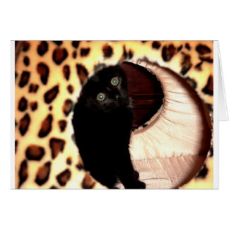 Black Cat in a leopard hooch Cards