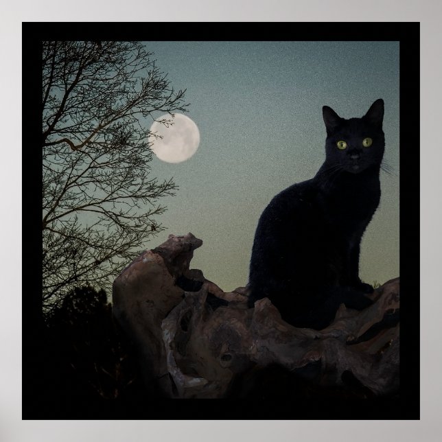 Black Cat in a Tree in Front of a Full Moon Poster (Front)
