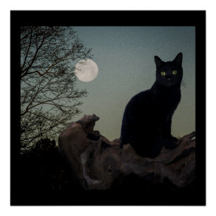 Black Cat in a Tree in Front of a Full Moon Poster