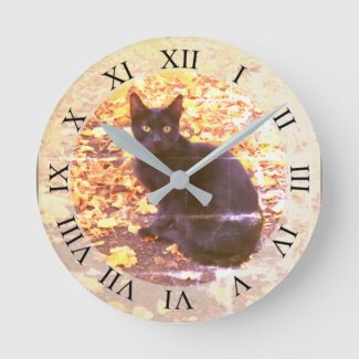 Black Cat in Autumn Photo