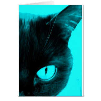 Black Cat in Blue Cards