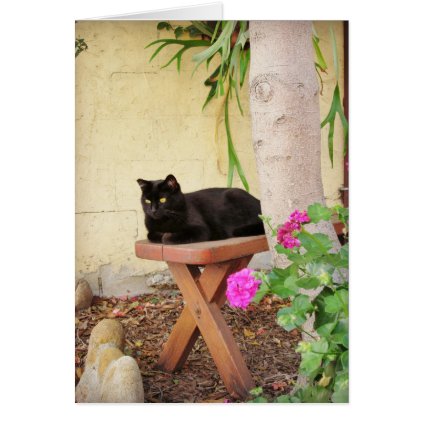 Black Cat in Garden Card