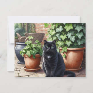Black Cat in Garden Cat Lovers Postcard