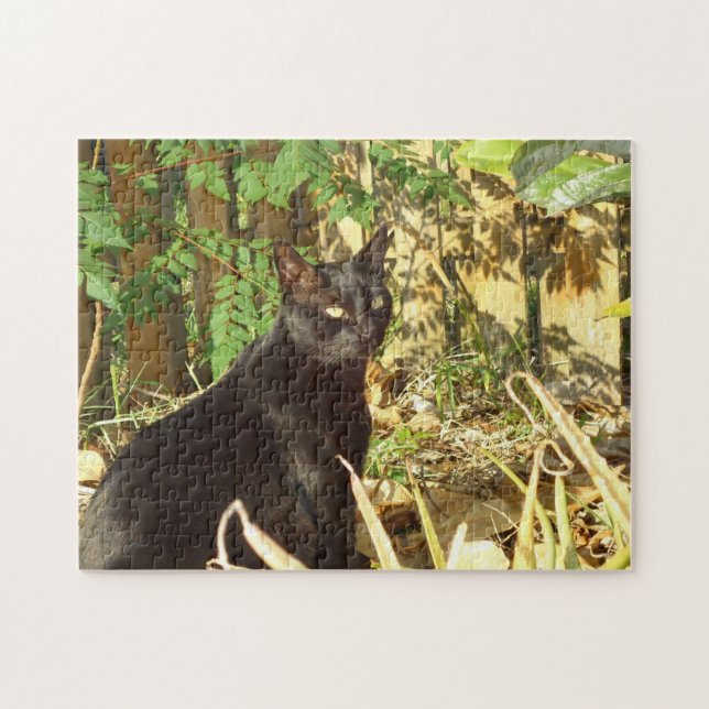 Black Cat in Morning Sun Puzzle (Horizontal)