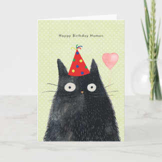 black cat in party hat funny birthday card