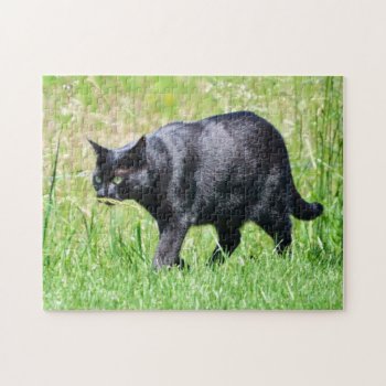 Black Cat In The Green Grass Jigsaw Puzzle by stdjura at Zazzle