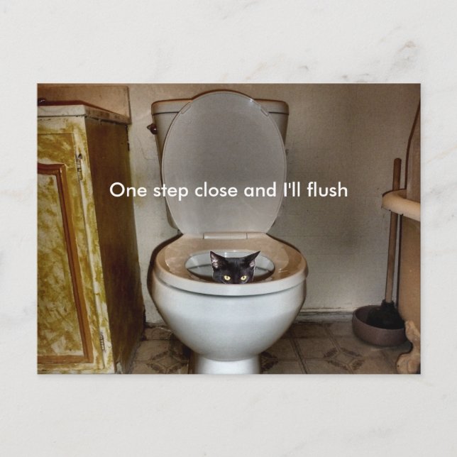 Black Cat In Toilet Postcard (Front)