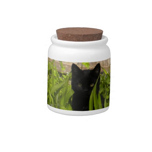 Black Cat in Tulips Kitty TreatCandy Jar