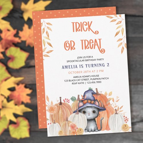 Black Cat in Witch Hat Trick or Treat Birthday Invitation