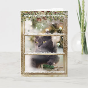 Black Cat Inside a Christmas Window Holiday Card