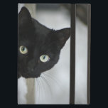 Black Cat iPad Air Case<br><div class="desc">My Photography</div>