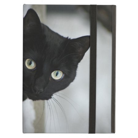 Black Cat Ipad Air Case