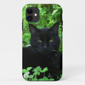 Black Cat iPhone / iPad case