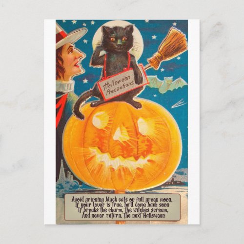 Black Cat is Sitting on Big Bright Pumpkin Funny Postcard
