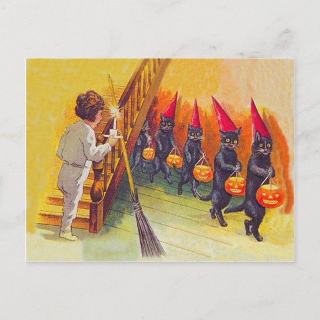 Black Cat Jack O Lanter Pumpkin Broom Postcard (Front)