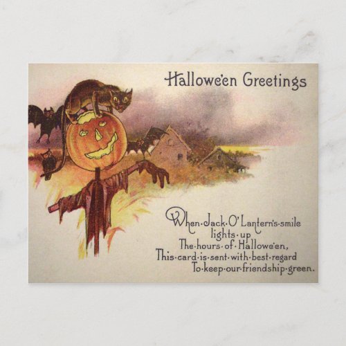 Black Cat Jack O Lantern Pumpkin Bat Owl Postcard