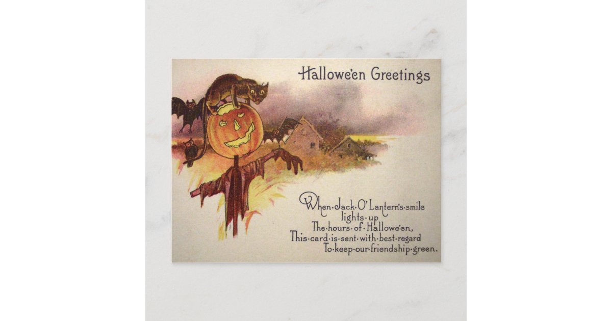 Black Cat Jack O' Lantern Pumpkin Bat Owl Postcard | Zazzle