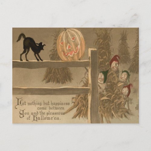 Black Cat Jack O Lantern Pumpkin Haystack Postcard
