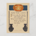 Black Cat Jack O&#39; Lantern Pumpkin Postcard at Zazzle