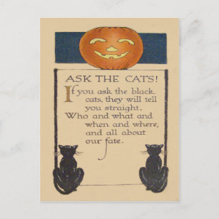 Black Cat Jack O' Lantern Pumpkin Postcard