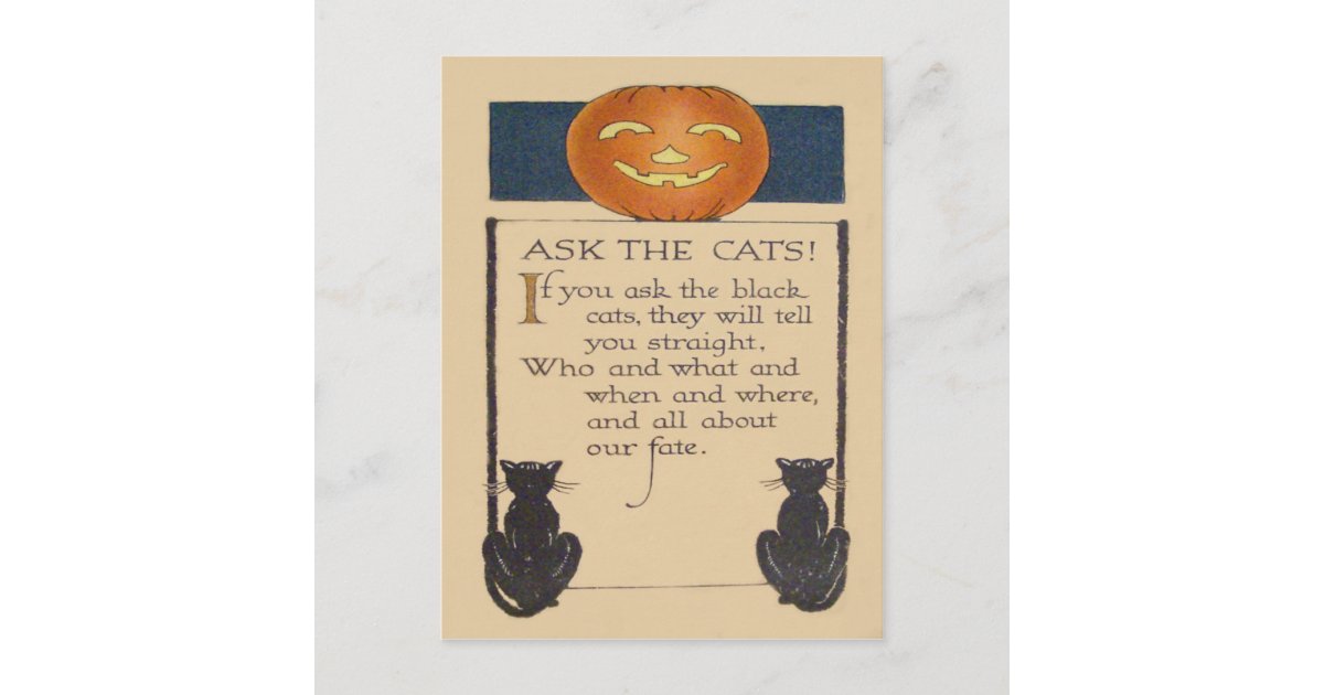 Black Cat Jack O' Lantern Pumpkin Postcard | Zazzle