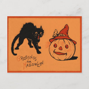 Black Cat Jack O Lantern Pumpkin Witch's Hat Postcard