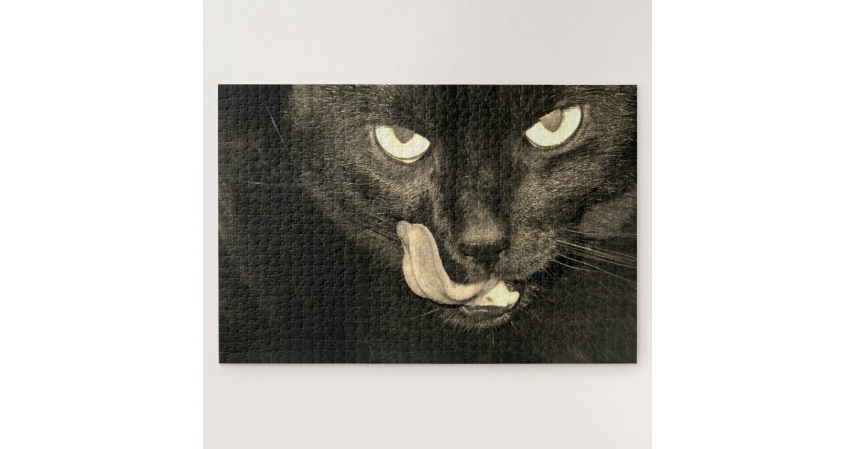 black cat jigsaw puzzle