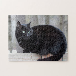 black cat jigsaw puzzle