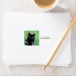 Black Cat - Keep Your Cat Safe Label at Zazzle