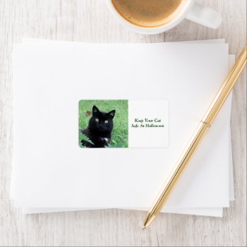 Black Cat - Keep Your Cat Safe Label by DigitalDreambuilder at Zazzle