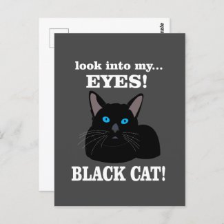 Black Cat Kitty Animal Lover Black Cat