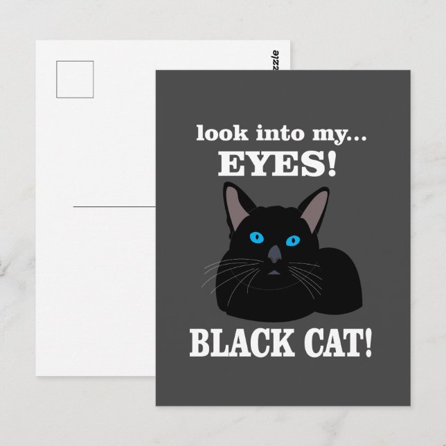 Black Cat Kitty Animal Lover Black Cat Postcard (Front/Back)