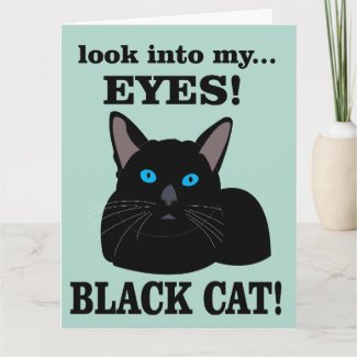 Black Cat Kitty Birthday Black Cat