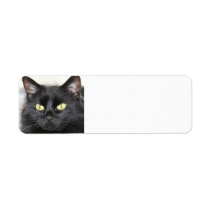 Black Cat Label